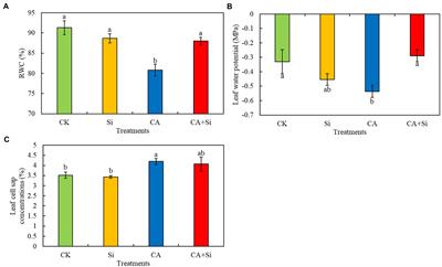 Exogenous silicon alleviates the adverse effects of cinnamic acid-induced <mark class="highlighted">autotoxicity</mark> stress on cucumber seedling growth